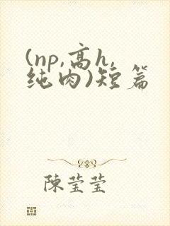 (np,高h,纯肉)短篇