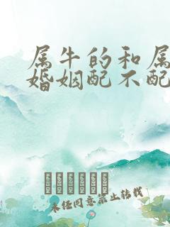属牛的和属龙的婚姻配不配