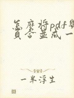 怎么将pdf几页合并成一页
