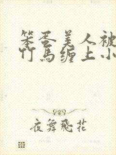 笨蛋美人被两个竹马缠上小说免费阅