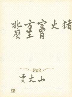 北方室火猪属什么生肖