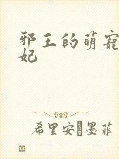 邪王的萌宠小兽妃