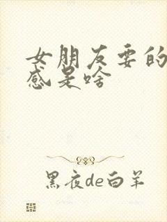 女朋友要的仪式感是啥