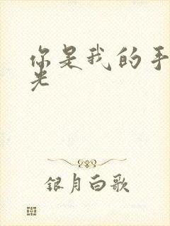 你是我的手冢国光