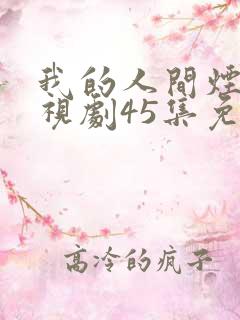 我的人间烟火电视剧45集免费观看