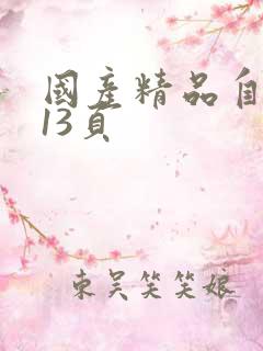 国产精品自拍第13页