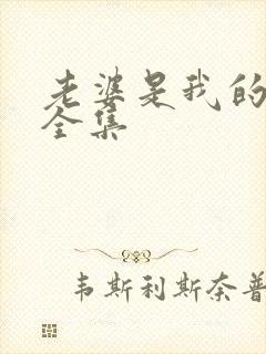 老婆是我的母亲全集