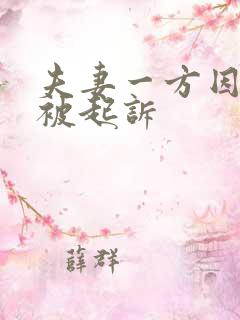 夫妻一方因债务被起诉
