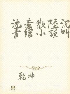 沈意欢陆沉舟林青绾小说叫什么名字