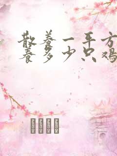散养一平方可以养多少只鸡