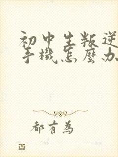 初中生叛逆期要手机怎么办