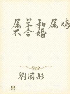 属羊和属鸡的合不合婚
