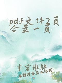 pdf文件2页合并一页