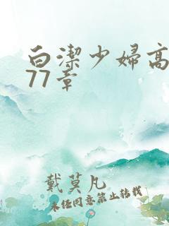 白洁少妇高义第77章