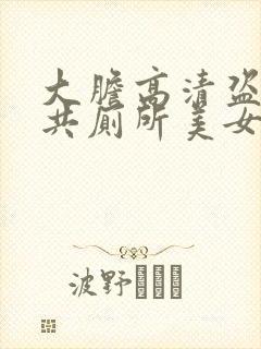 大胆高清盗摄公共厕所美女如厕视频