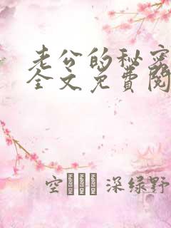 老公的秘密小说全文免费阅读