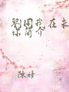 刘同我在未来等你简介