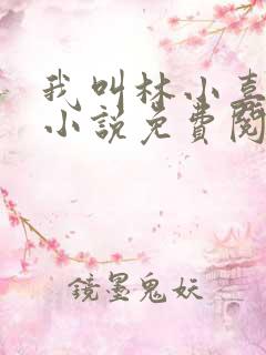 我叫林小喜乖宝小说免费阅读