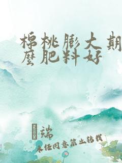 棉桃膨大期用什么肥料好