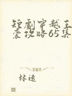短剧穿越王妃逆袭攻略65集