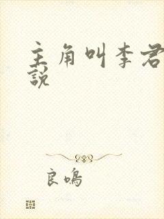 主角叫李君的小说