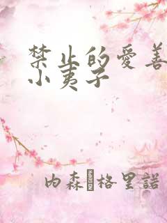 禁止的爱善良的小夷子