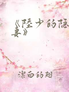 《陆少的隐婚罪妻》