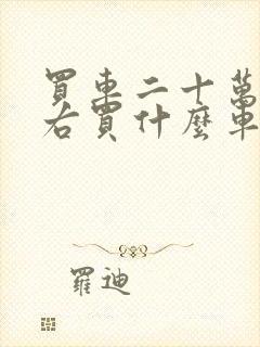 买车二十万元左右买什么车好
