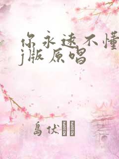你永远不懂我dj版原唱