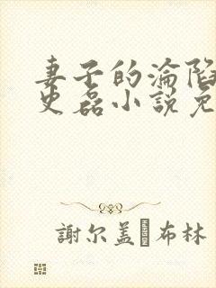 妻子的沦陷王天史磊小说免费阅读
