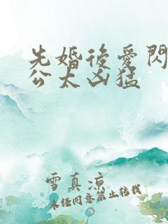 先婚后爱闪婚老公太凶猛