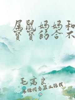 属鼠妈妈和属马宝宝的合不合