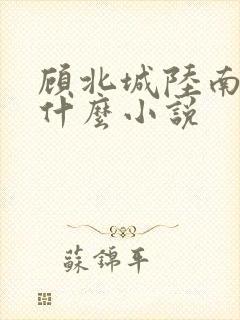 顾北城陆南烟是什么小说