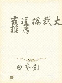霸道总裁大叔文推荐
