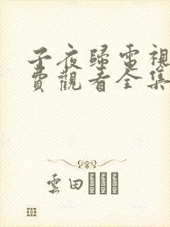 子夜归电视剧免费观看全集33