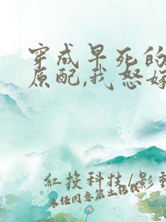 穿成早死的炮灰原配,我怒嫁反派txt下载