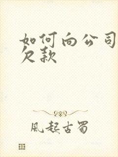 如何向公司追讨欠款