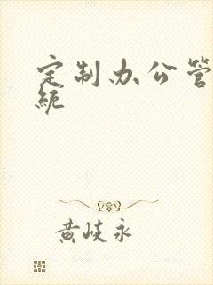 定制办公管理系统