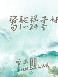 骆驼祥子好词好句1~24章