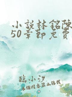 小说林铭陈佳450章节免费阅读