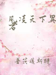 风凌天下异世邪君