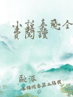 小说秦飞全文免费阅读
