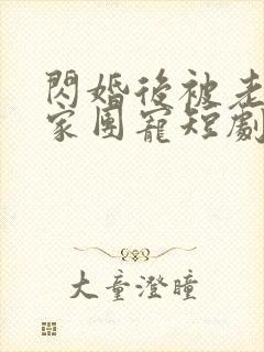 闪婚后被老公全家团宠短剧在线
