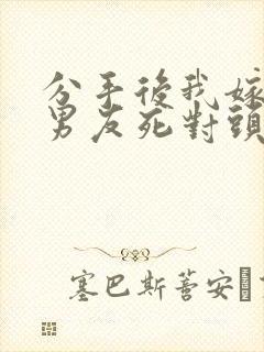 分手后我嫁给前男友死对头沈淮全文