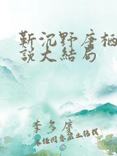 靳沉野唐栖雾小说大结局