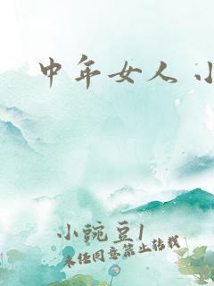 中年女人 小说