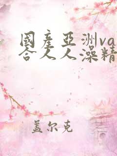国产亚洲va综合人人澡精品