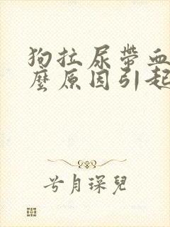 狗拉尿带血是什么原因引起的