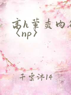 高h荤爽肉欲文〈np〉