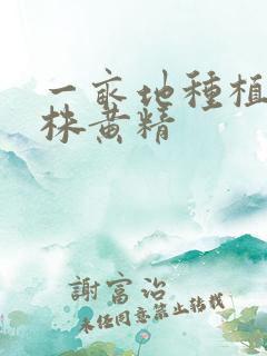 一亩地种植多少株黄精